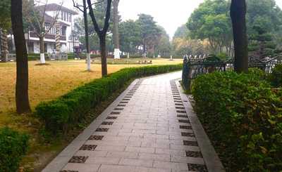Well-maintained pathway pathway