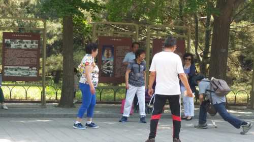 Sport game with a badminton shuttlecock 20160518 105626 orig