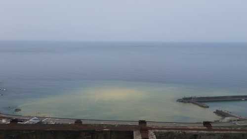 Yin Yang Sea Sea